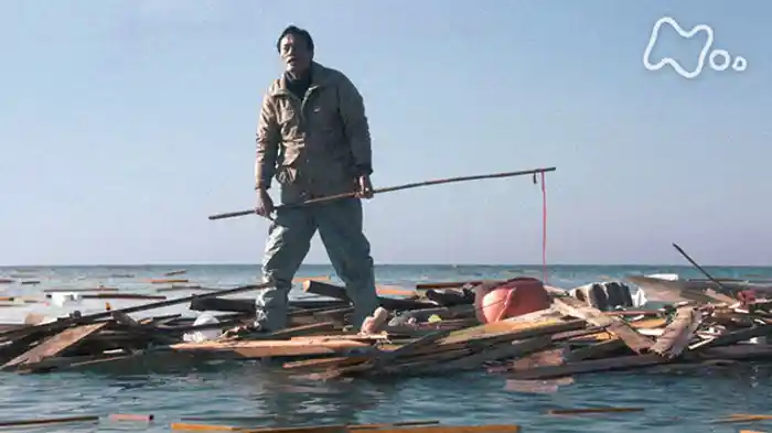 「ドラマ　星影のワルツ」