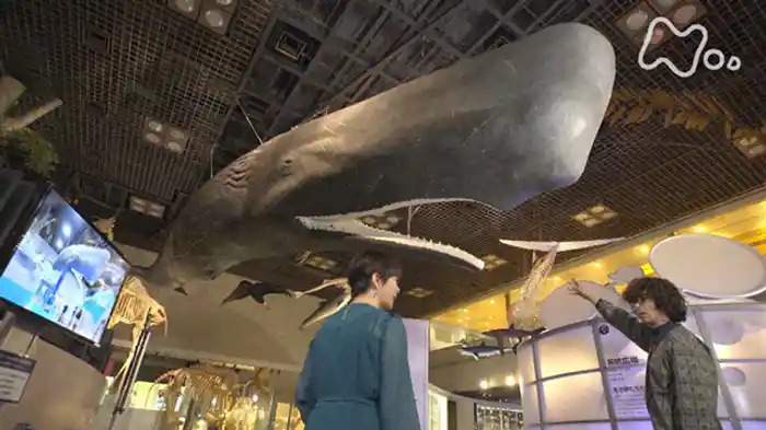 探検!巨大ミュージアムの舞台裏 ~国立科学博物館~