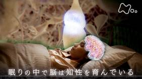  「“睡眠”　ヒトは眠りで進化した？」