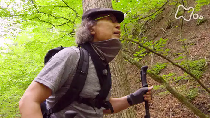 「川苔山・東京」