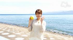釣りびと万歳 の動画視聴 あらすじ U Next 釣りびと万歳 の動画視聴 あらすじ U Next