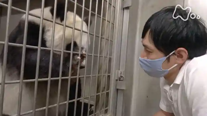 「タンタン、また明日ね」