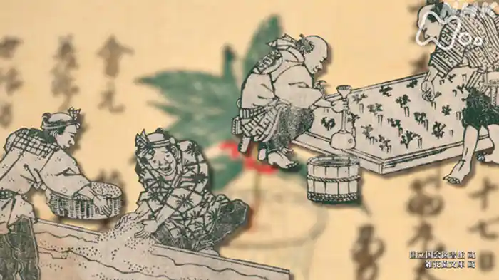 「園芸大国 熱狂とバブルの謎」