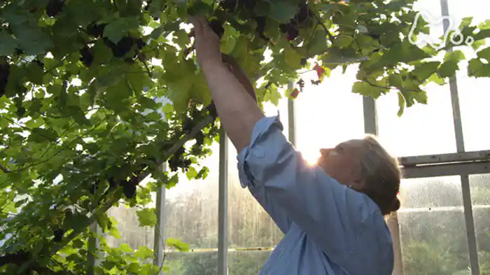 「おいしい日々」