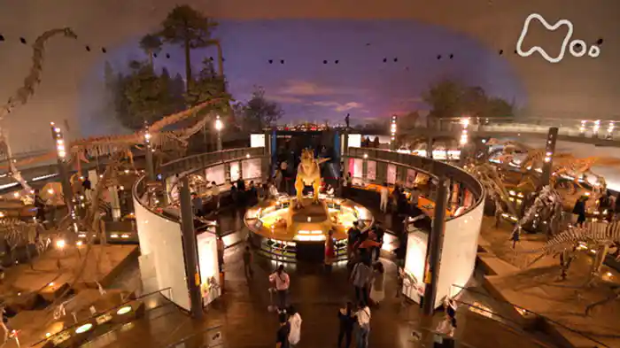 探検！恐竜ミュージアムの舞台裏～福井県立恐竜博物館～