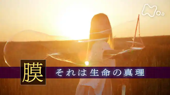 「“膜”　それは生命の真理」