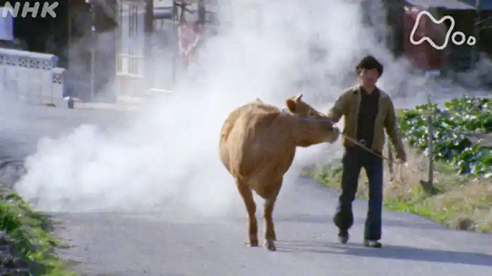「野焼きのころー熊本県 阿蘇山麓ー」