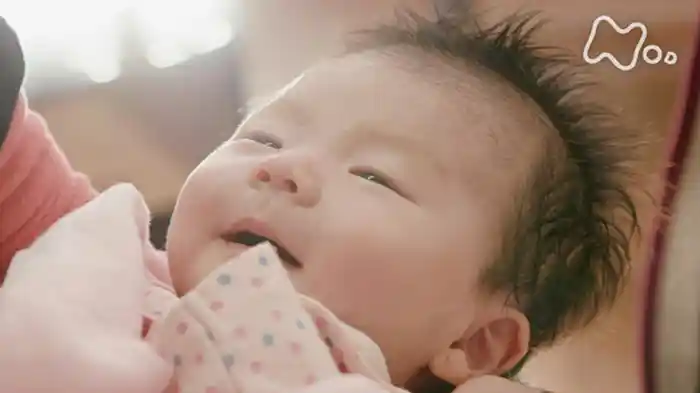 「ひとりたどり着いた山里で～和歌山・田辺～」