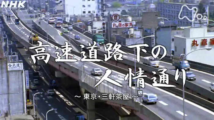 「高速道路下の人情通り~東京・三軒茶屋~」
