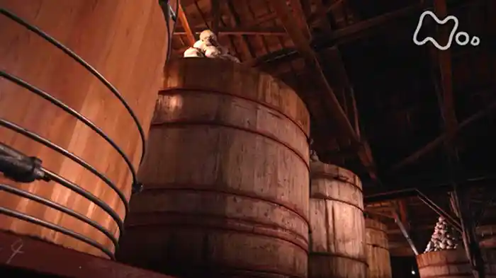 発酵大国にっぽん