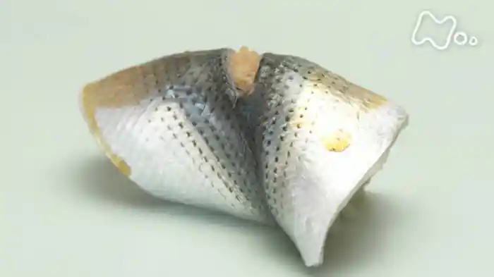 「江戸前鮨(すし)の職人たち」