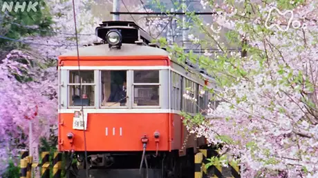 「天下の嶮の登山電車－神奈川県・箱根町－」
