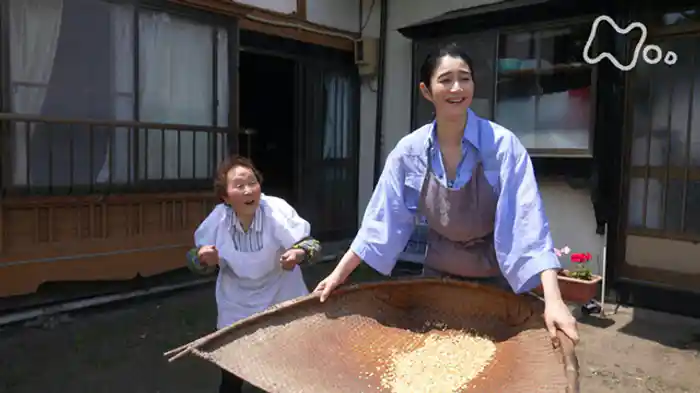 「青森　ごど」