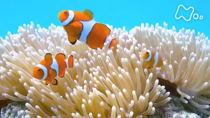 「命をつなぐ生きものたち 第2集 水中の恋」