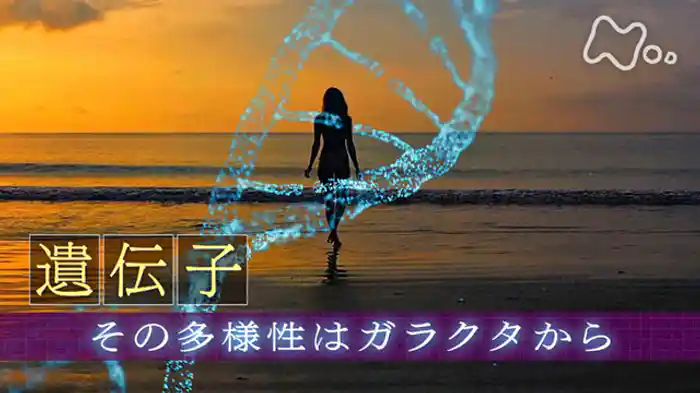 「“遺伝子”　その多様性はガラクタから」