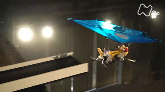 「ネコちゃん落下２５ｍ走」