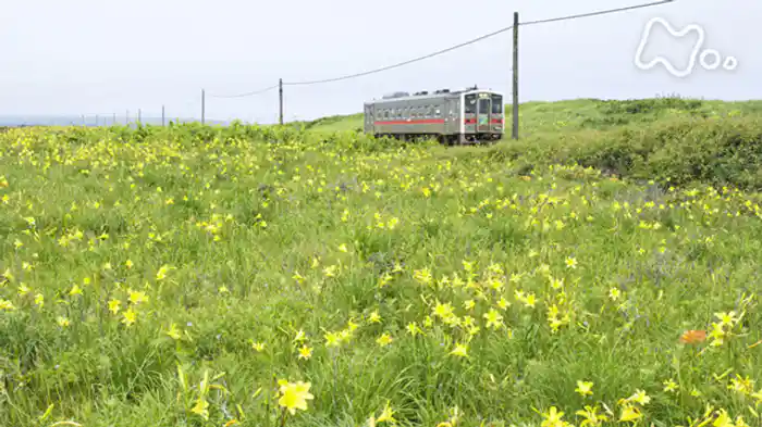 中井精也と楽しむ! 8K鉄路紀行
