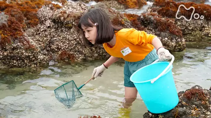 お母ちゃんとわたし