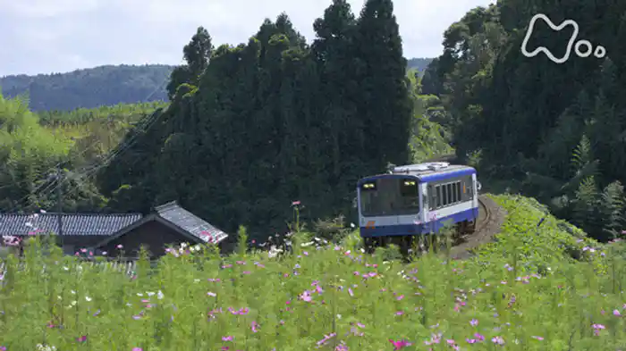 村井美樹と楽しむ! 8K鉄路紀行
