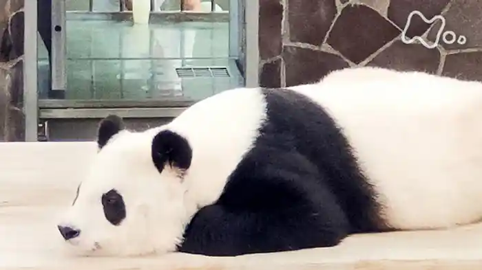 ～かわらずのんびり過ごしてほしい～