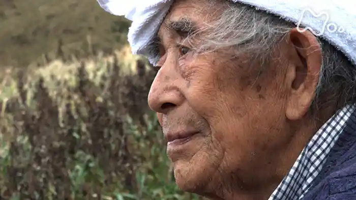 北の果て一人生きる 浜下福蔵92歳