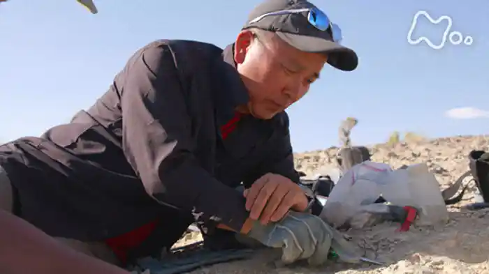 恐竜の聖地ゴビ砂漠