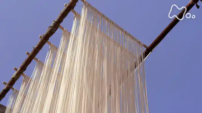 百花繚乱!麺道をゆく ~中国・黄土高原~