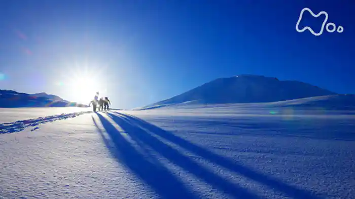 大雪山　究極のパウダースノーを滑る