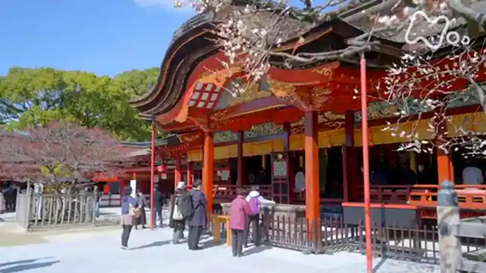 千年の祈り 太宰府天満宮 四季の彩り