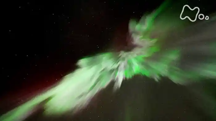 アラスカ　闇夜の閃（せん）光