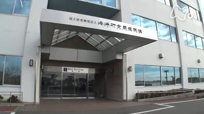 海洋研究開発機構(JAMSTEC)