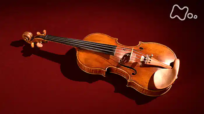 国立音楽大学 楽器学資料館