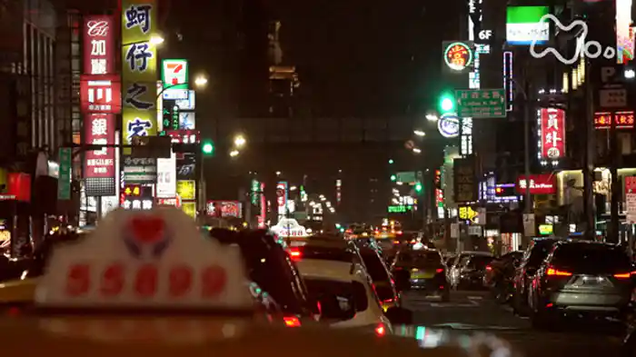 台北を走る２０２３