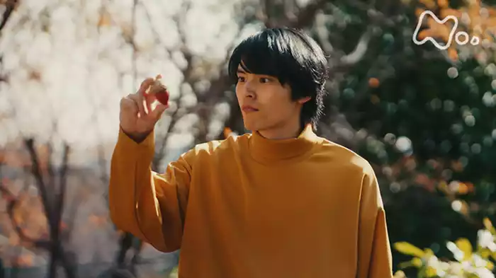 テレパ椎