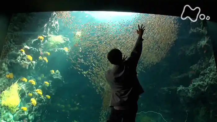 アクアマリンふくしま