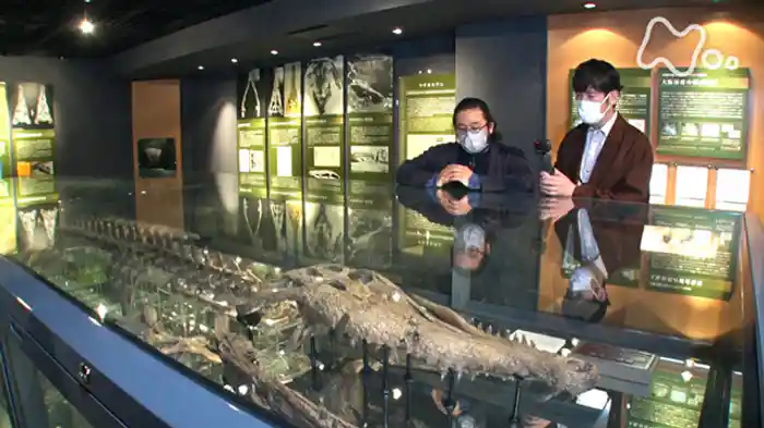 大阪大学総合学術博物館