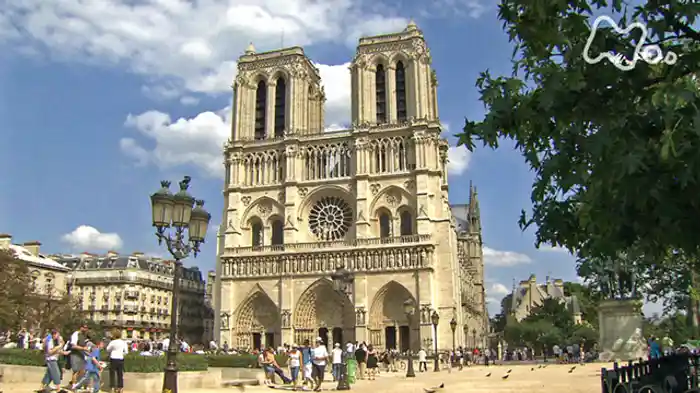 よみがえれ　ノートルダム大聖堂