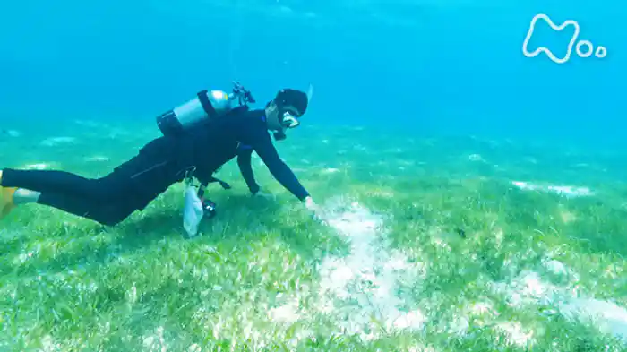BS4K特集「沖縄の海 “幻のジュゴン”を追う」