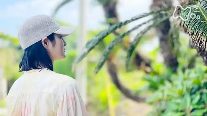 奄美大島　ナリ味噌（みそ）