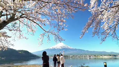 「富士五湖」