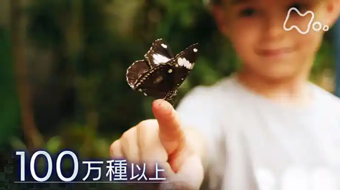 「“虫”　地球のもうひとつの主人公」