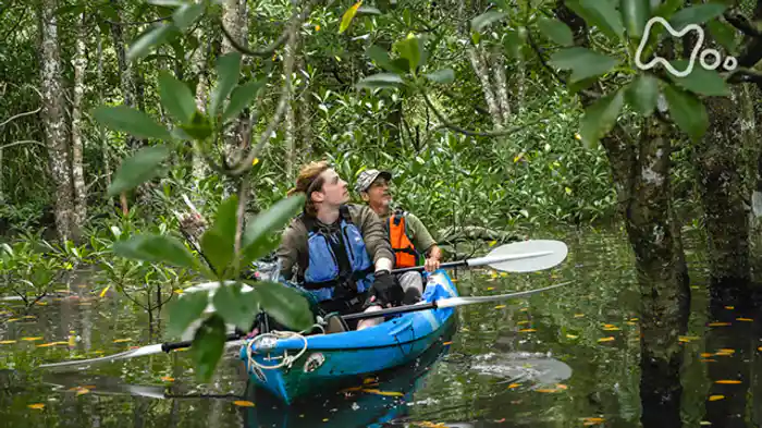 ～沖縄・八重山諸島編～