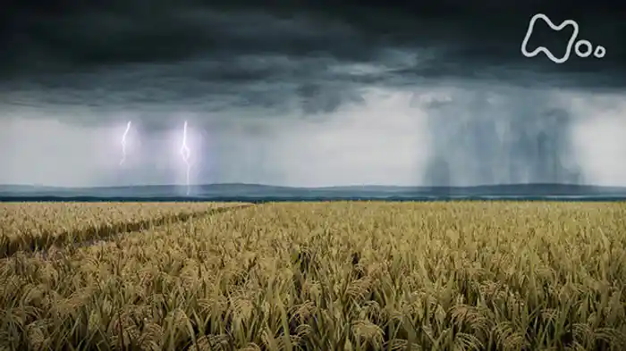 知られざる雷　破壊と創造　その全貌に迫る