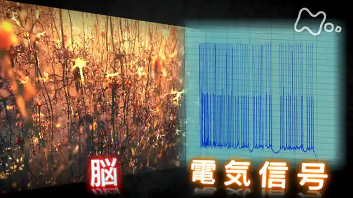 「“生体電気”　電気仕掛けのココロとカラダ」