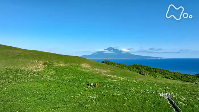 花の競演 礼文&利尻