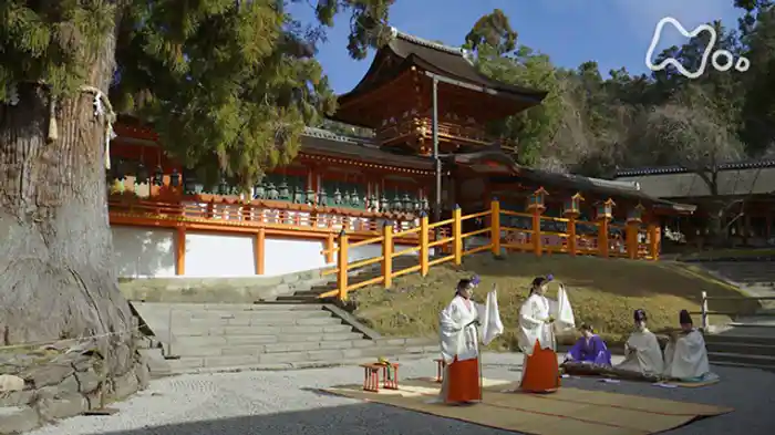 神さまのお引っ越し日記　奈良・春日大社
