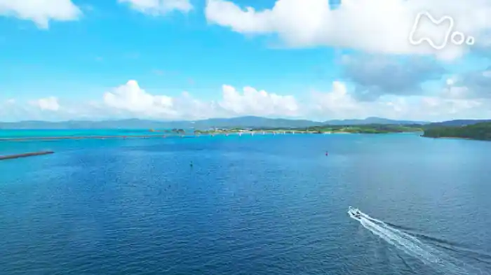 南海のチャンプ“アカジン”との激戦！～具志堅用高　沖縄本島～