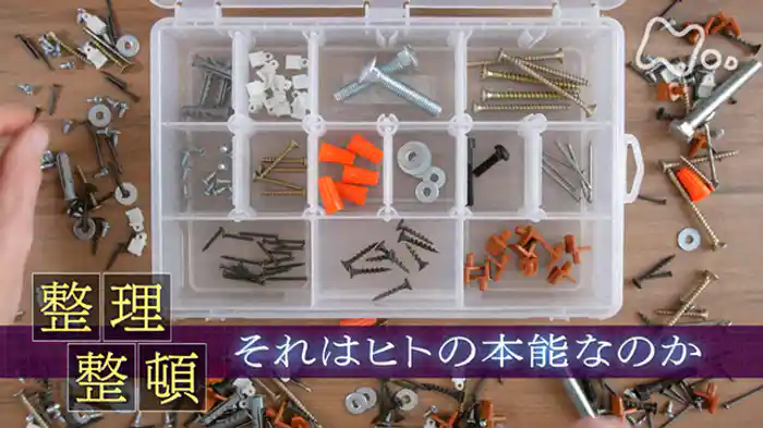 「“整理整頓”　それはヒトの本能なのか」