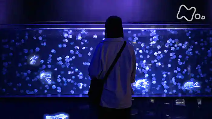 ＃４京都　～いま、何を聴いていますか？～