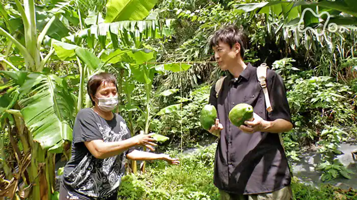 沖縄　サンゴ礁と森が育む島の宝